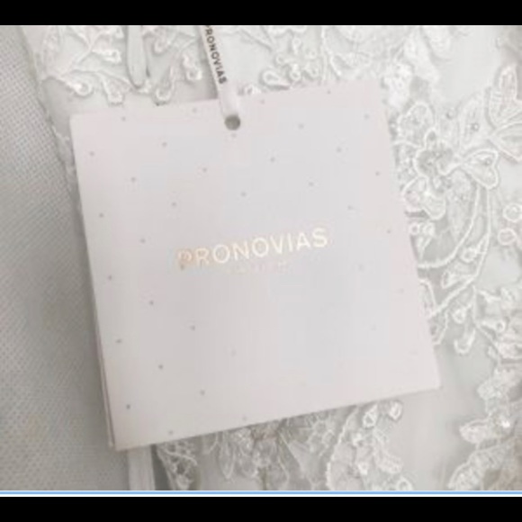 pronovias Wedding Gown Fit and Flare - Picture 4 of 4